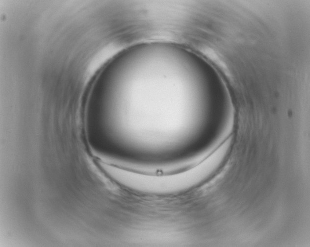 X0000088661469200706152020