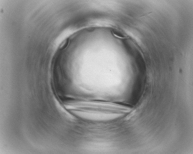 X0000088661471200706152020