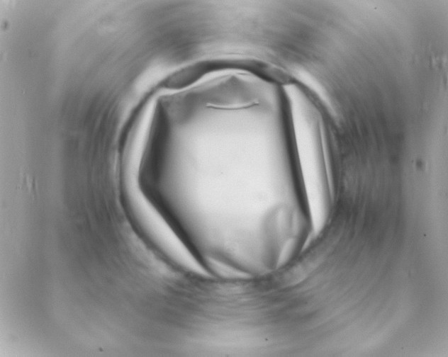 X0000088661472200706152020