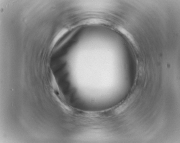 X0000088661473200706152020