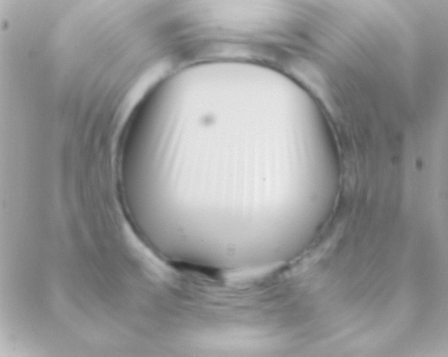 X0000088661475200706152020