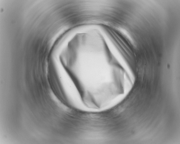 X0000088661476200706152020