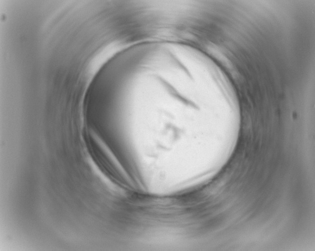 X0000088661479200706152020