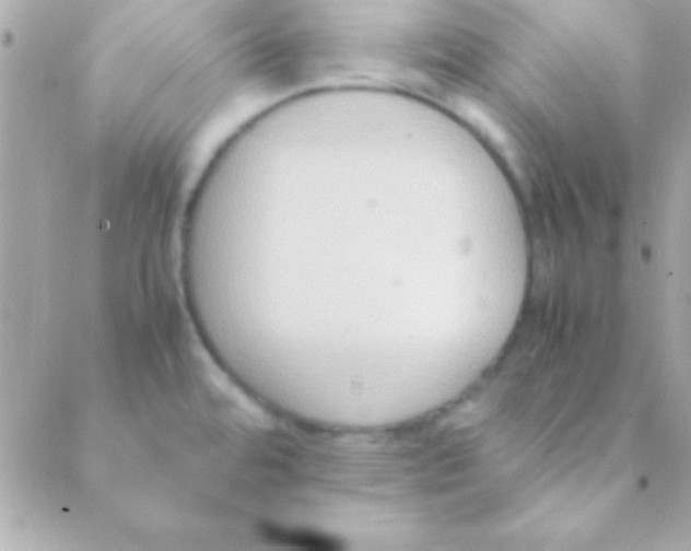 X0000088661480200706152020