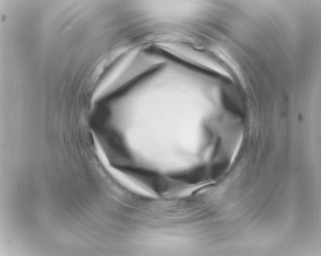 X0000088661481200706152020