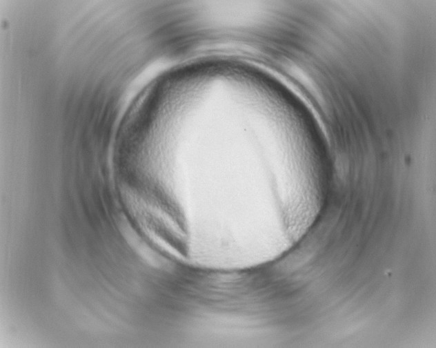 X0000088661482200706152020