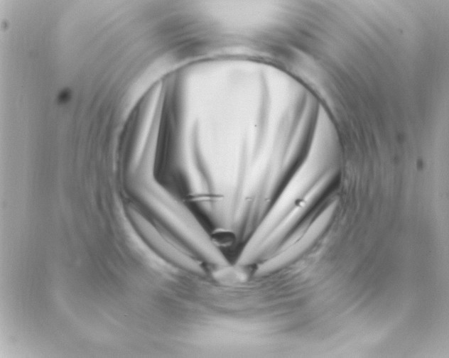 X0000088661483200706152020