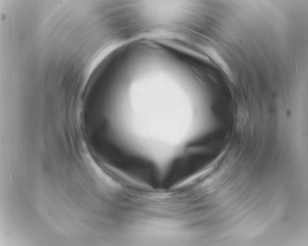 X0000088661484200706152020