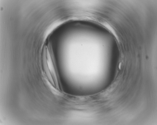 X0000088661485200706152020