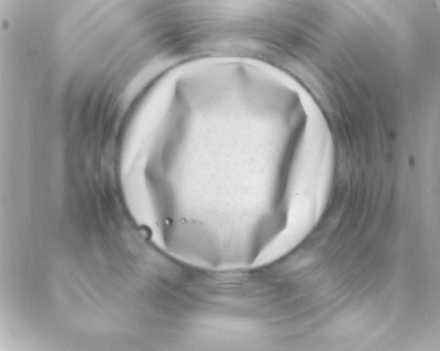 X0000088661486200706152020