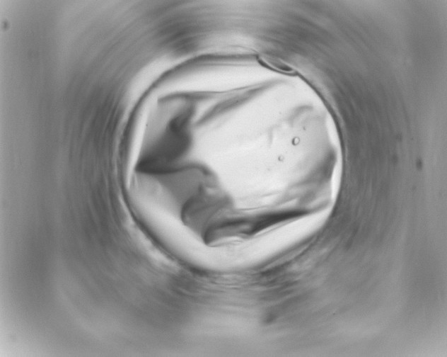 X0000088661488200706152020