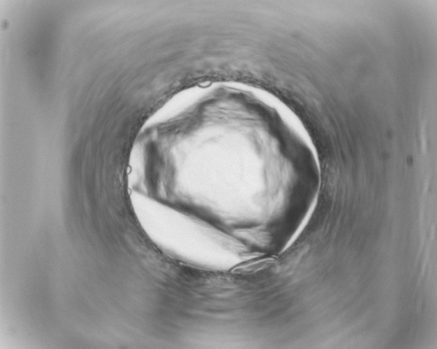 X0000088661489200706152019