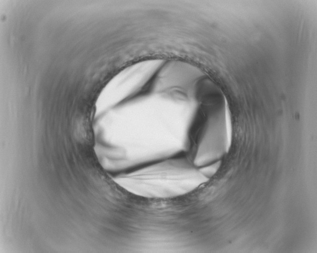 X0000088661490200706152019