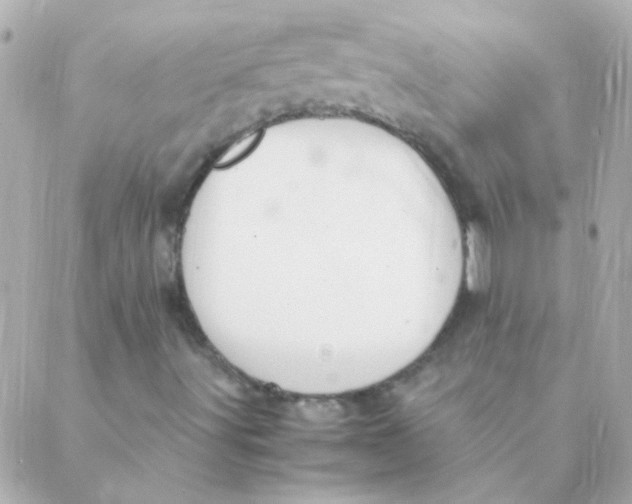 X0000088661491200706152019