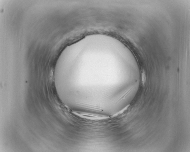 X0000088661492200706152019