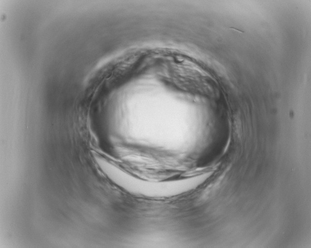 X0000088661494200706152019