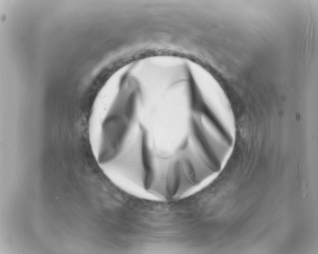 X0000088661495200706152019