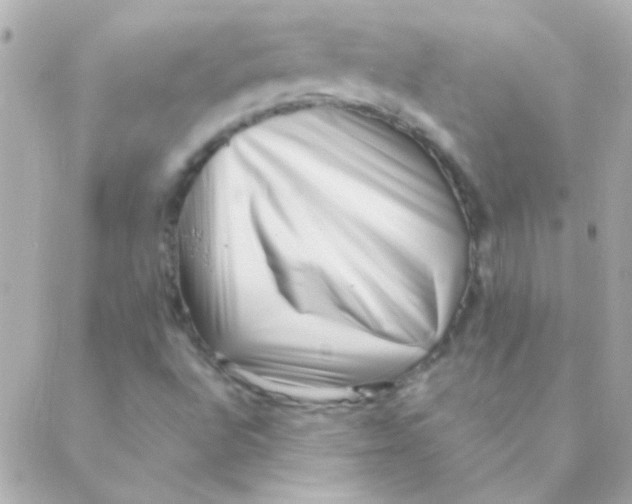 X0000088661496200706152019