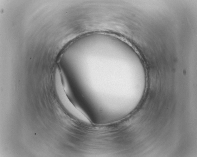 X0000088661497200706152019