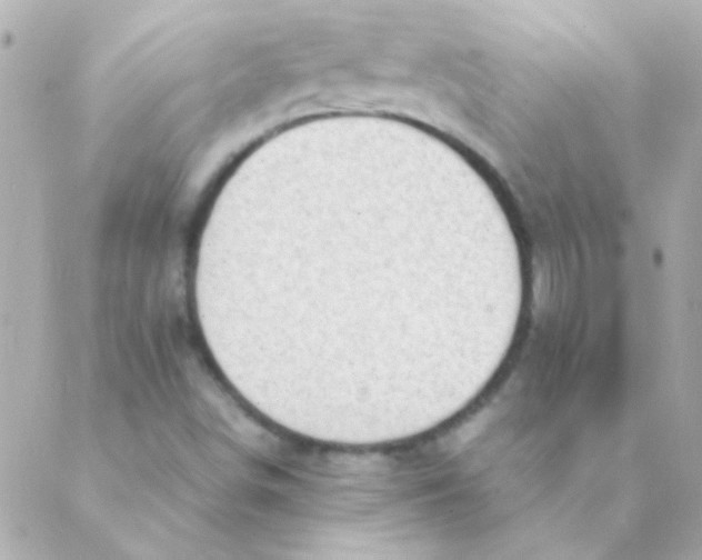 X0000088661498200706152019