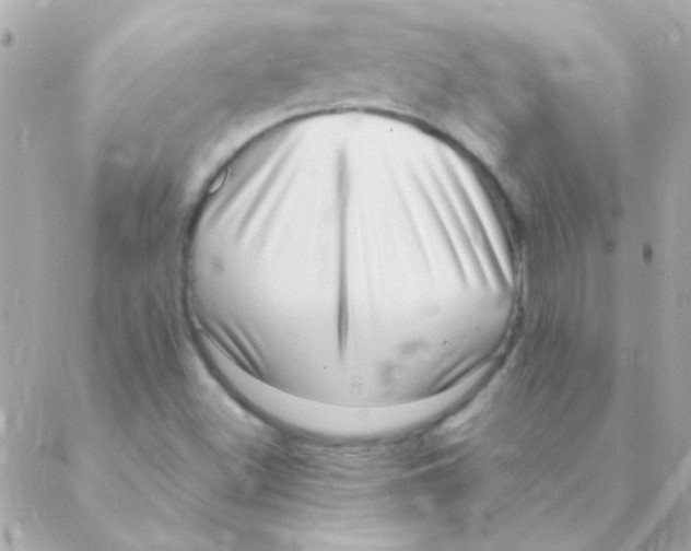 X0000088661500200706152019