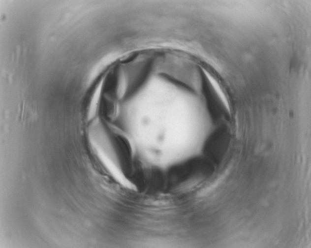 X0000088661501200706152019