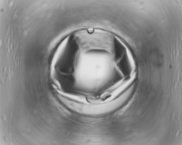 X0000088661502200706152019