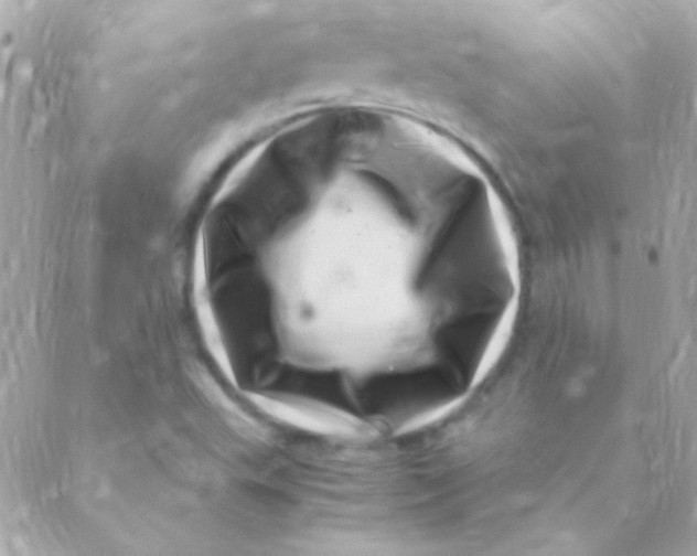 X0000088661503200706152019