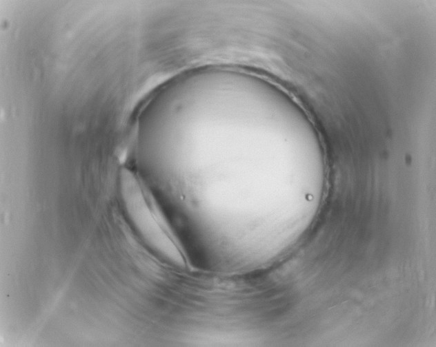 X0000088661505200706152019