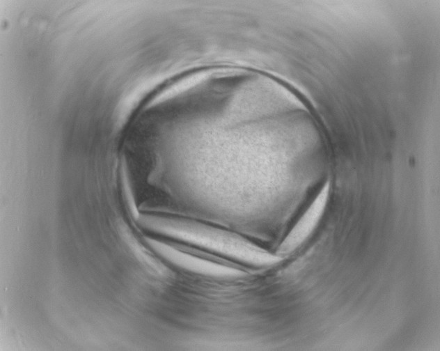 X0000088661507200706152019