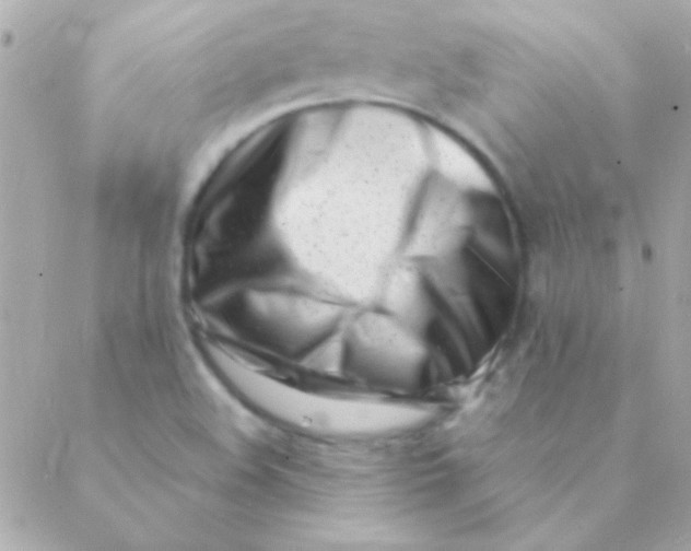 X0000088661508200706152019