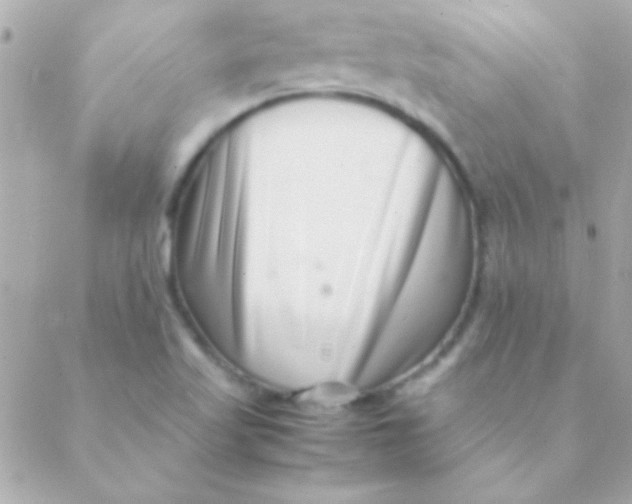 X0000088661509200706152019