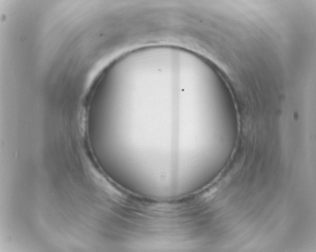 X0000088661510200706152019