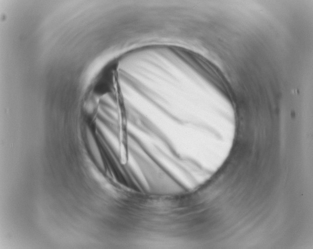 X0000088661511200706152019