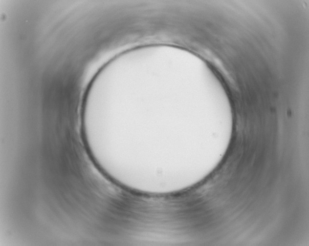 X0000088661512200706152019