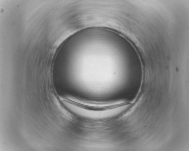 X0000088661513200706152019