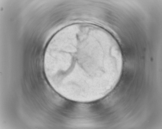 X0000088661514200706152019