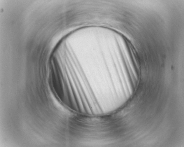 X0000088661515200706152019