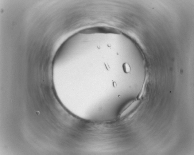 X0000088661516200706152019