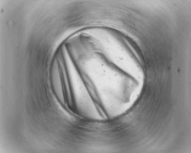 X0000088661517200706152019