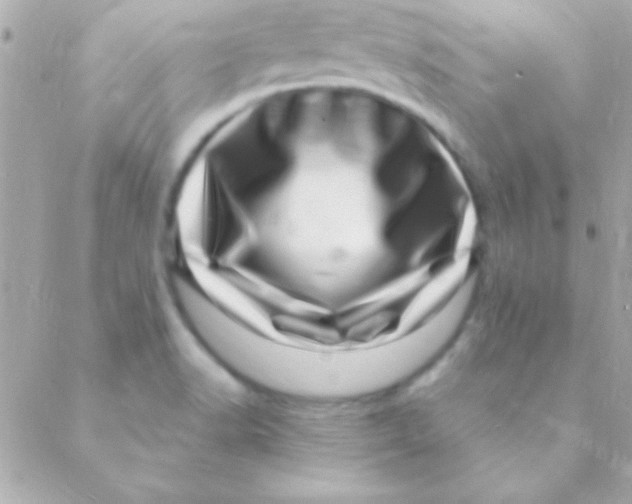 X0000088661518200706152019