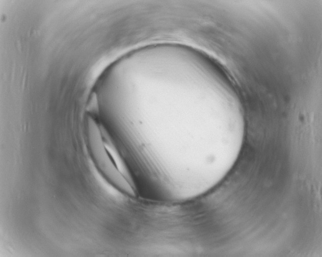 X0000088661519200706152020