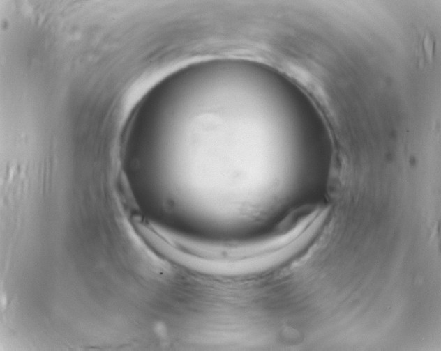 X0000088661520200706152020