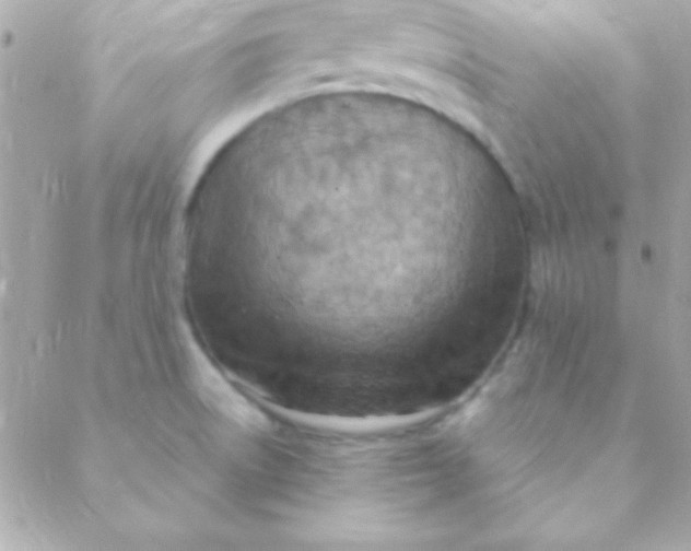 X0000088661522200706152020