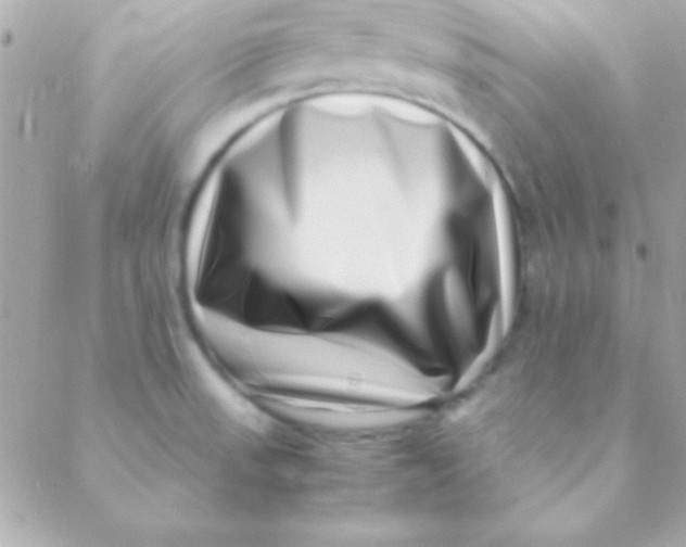 X0000088661523200706152020