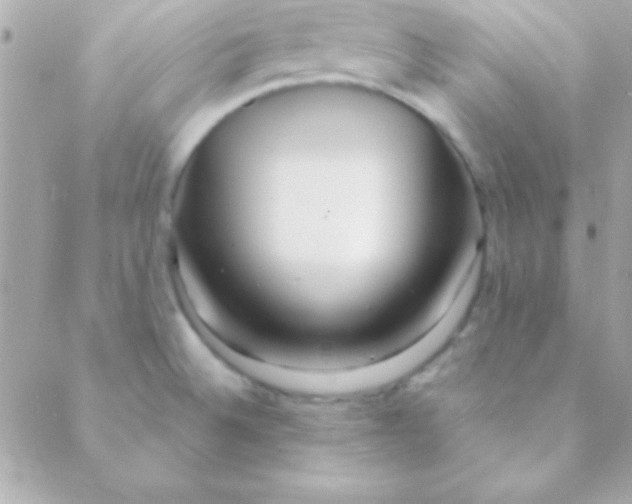 X0000088661524200706152020