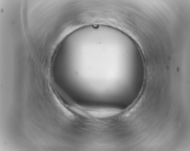 X0000088661525200706152020