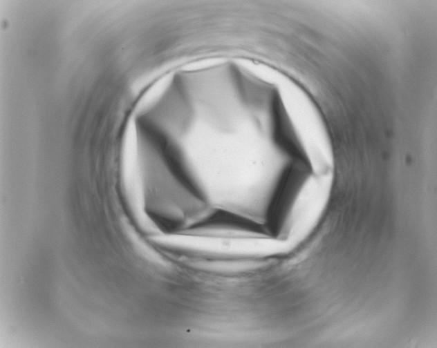 X0000088661526200706152020