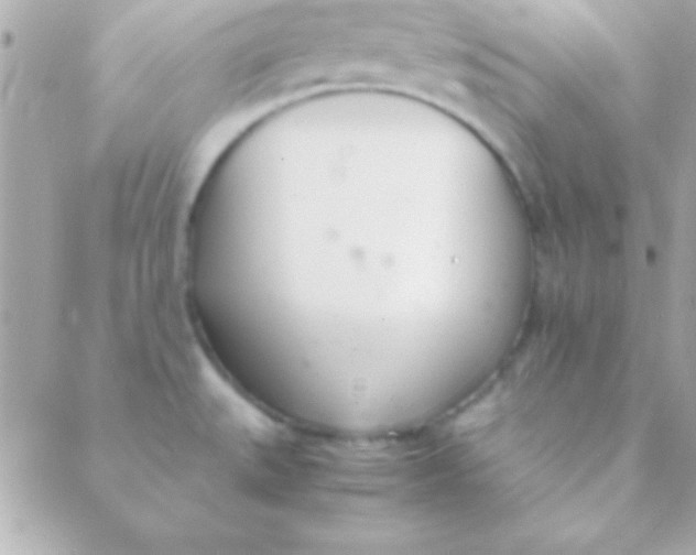 X0000088661527200706152020