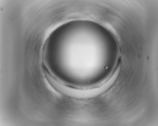 X0000088661528200706152020